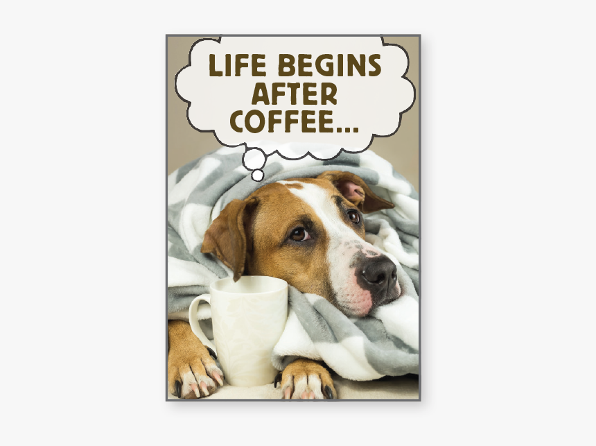 Coffee 
 Class - Divertenti Buongiorno, HD Png Download