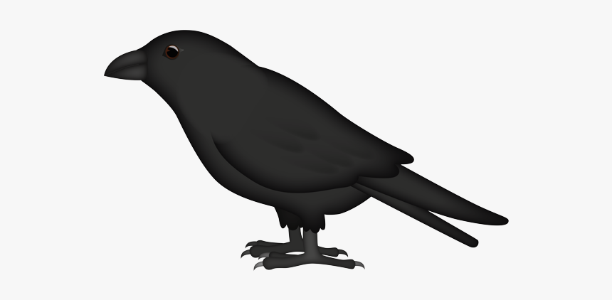 Raven, HD Png Download
