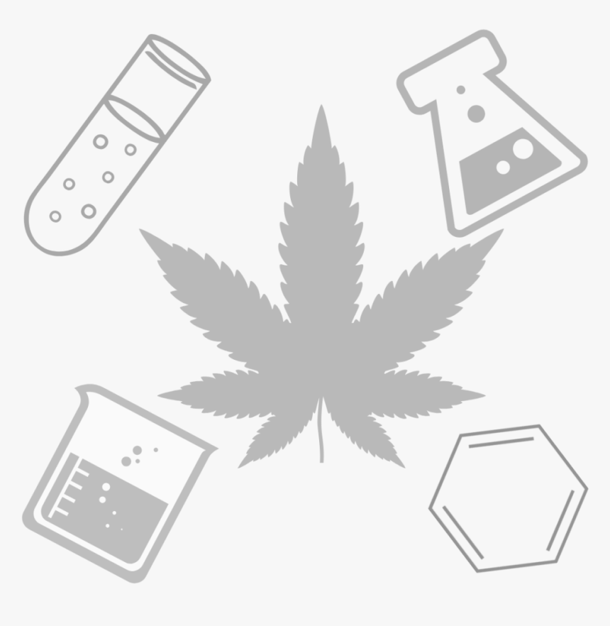 Leaf And Science - Pot Leaf, HD Png Download