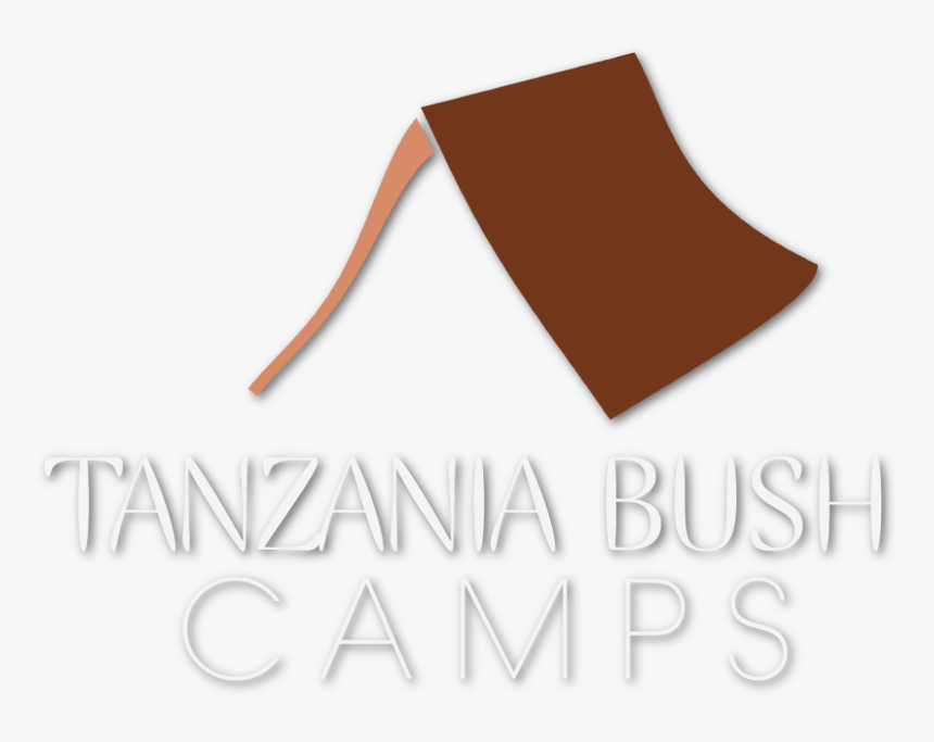 Paper, HD Png Download