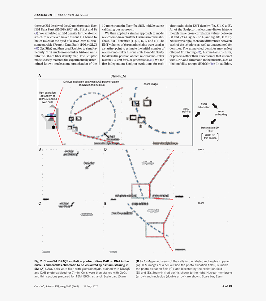 Diagram, HD Png Download