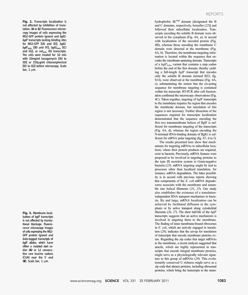 "but For The Blessing..., On Page 88, Thirty-ninth, HD Png Download