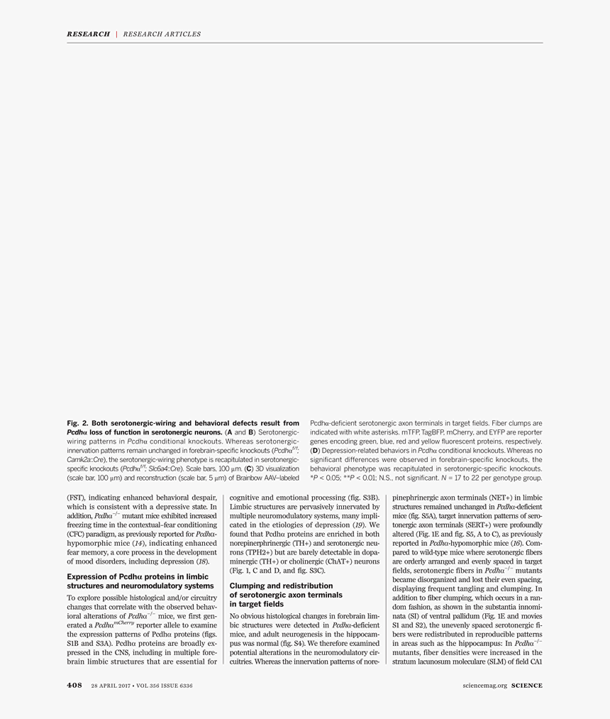 Document , Png Download - Daum Tip, Transparent Png