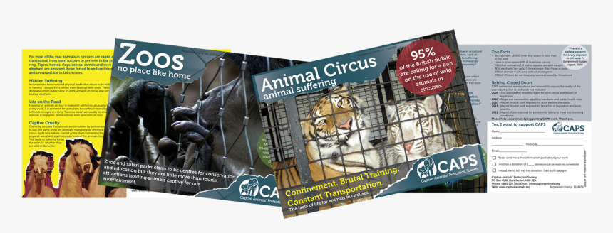 If There Are No Nearby Zoos Or Circuses For You To - Flyer, HD Png Download