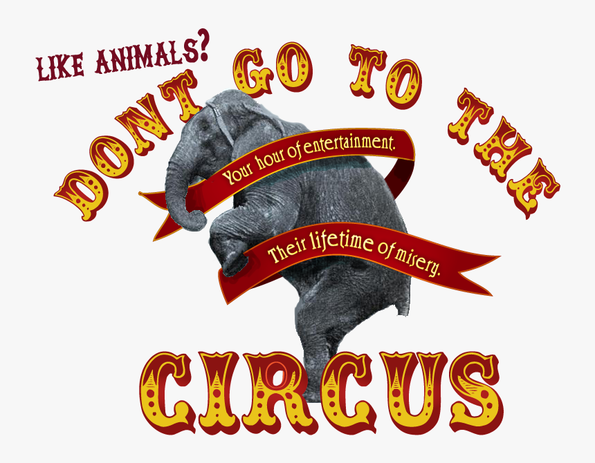 No To Circus - Circus, HD Png Download