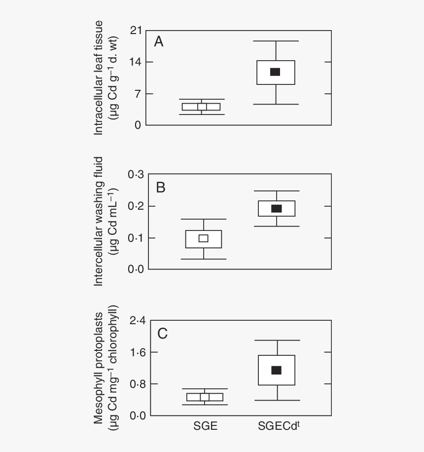 Number, HD Png Download