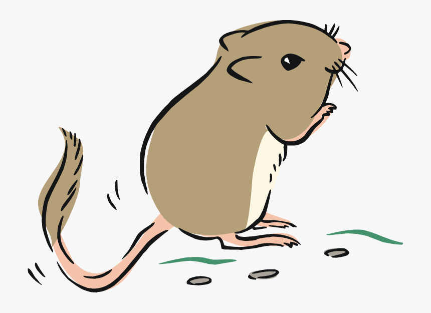 Transparent Rat Clip Art - Cartoon, HD Png Download