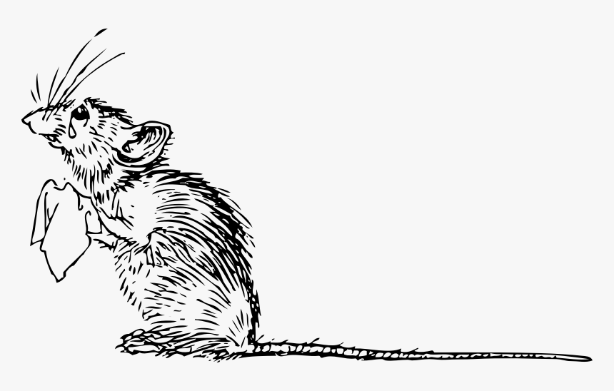 Clipart Rat Sad Rat - Sad Mouse Clipart, HD Png Download