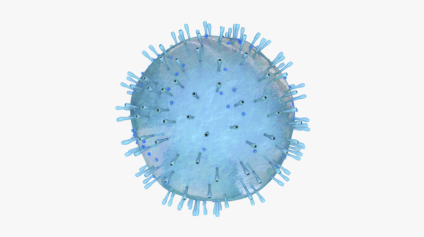 Diasorin Molecular Simplexa® Flu A/b & Rsv Direct Kit - Circle, HD Png Download