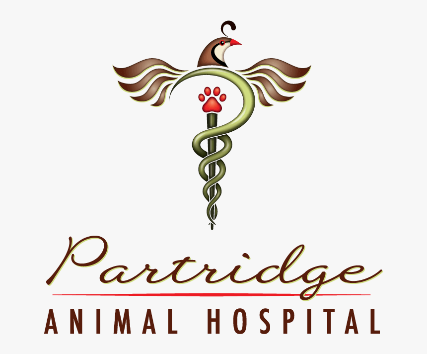 Partridge Animal Hospital - Illustration, HD Png Download