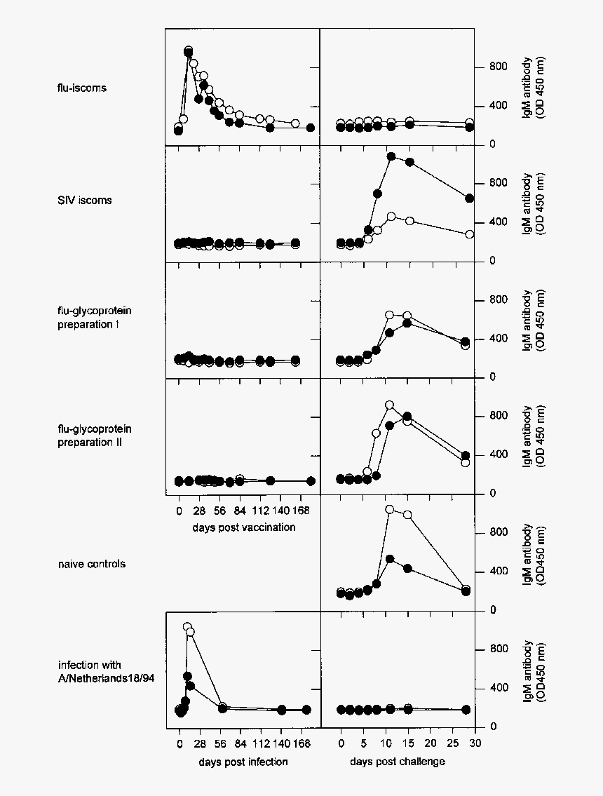 Diagram, HD Png Download