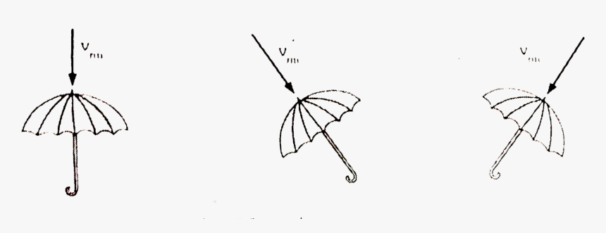 Umbrella, HD Png Download