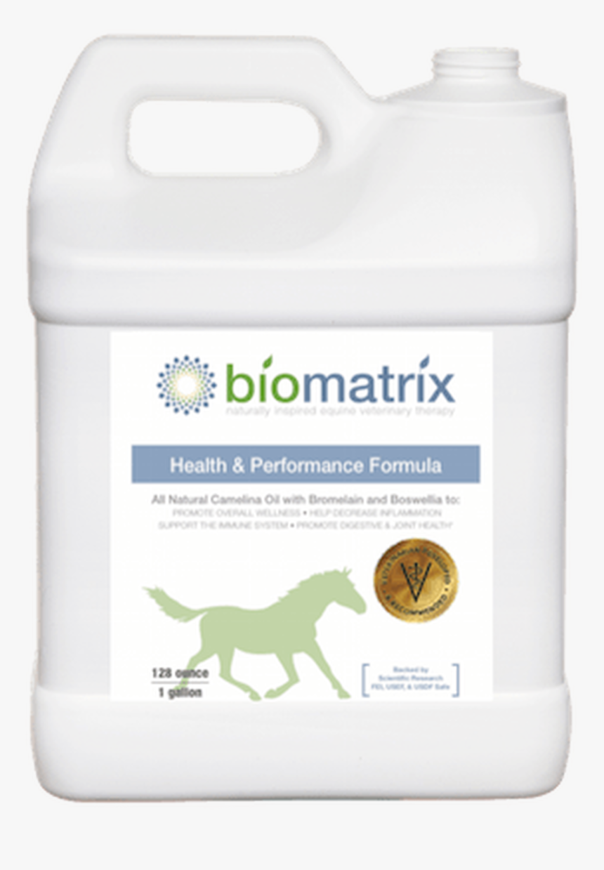 Foal, HD Png Download