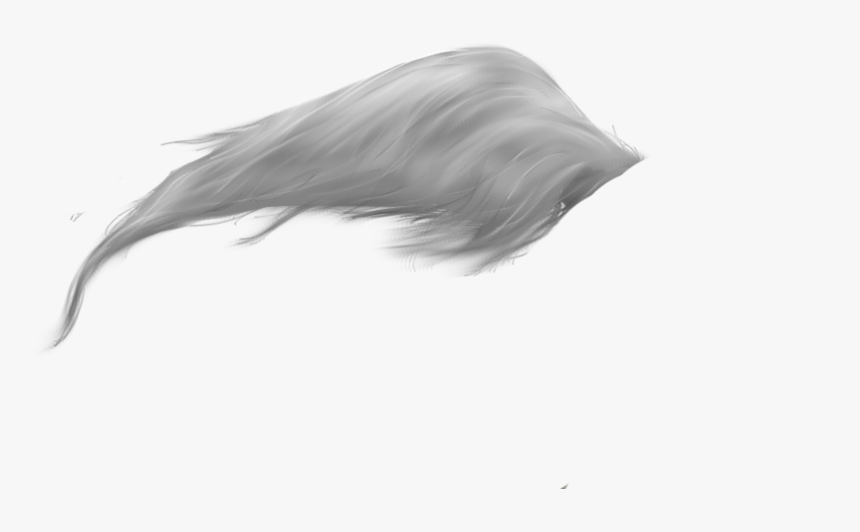 Horses Tail Png, Transparent Png