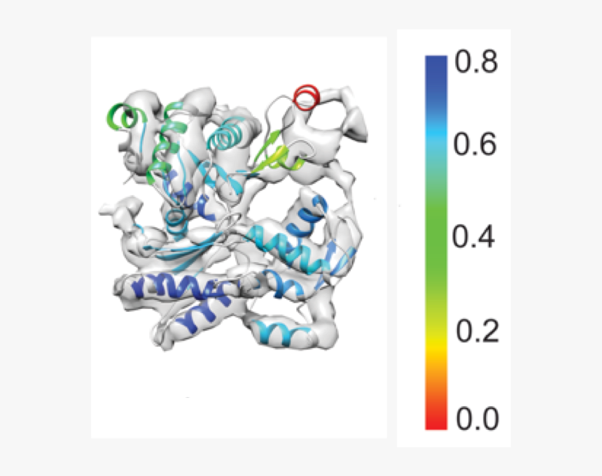 Images/sccc - Graphic Design, HD Png Download