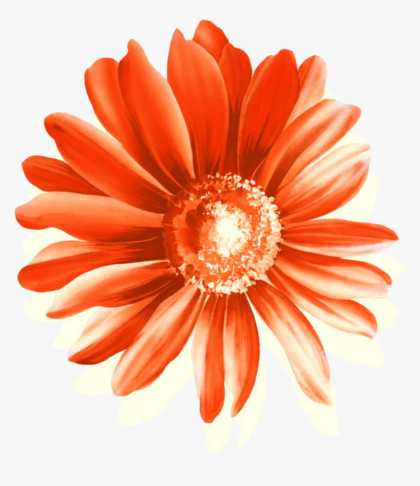 Clipart Free Download Cottage Garden Flowers Red - 图片, HD Png Download