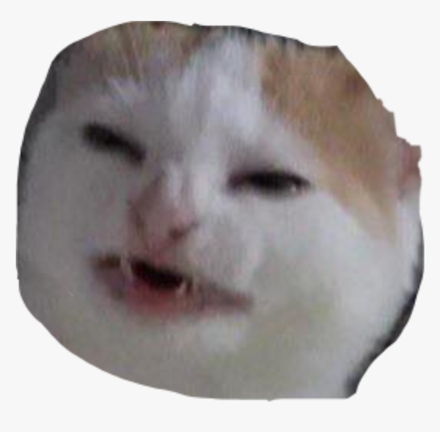 He Not Like The Banana, HD Png Download