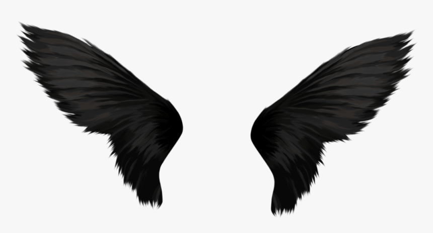 Black Angel Wings Transparent, HD Png Download