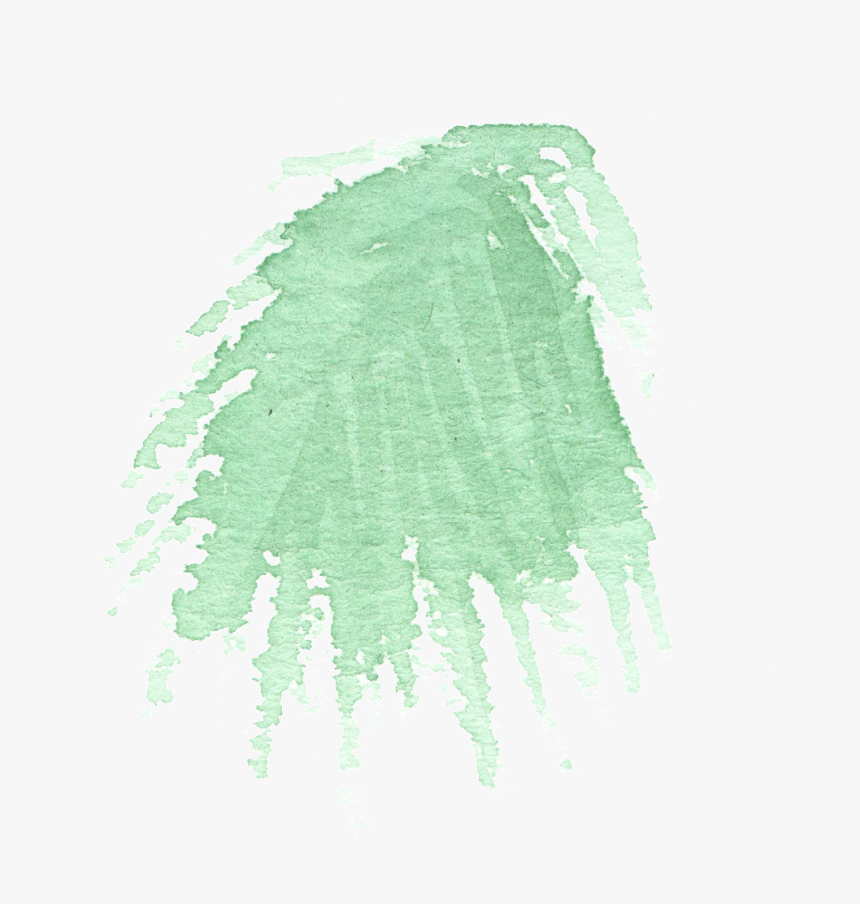 Hand Painted Simple Coniferous Leaves Watercolor Transparent - Darkness, HD Png Download