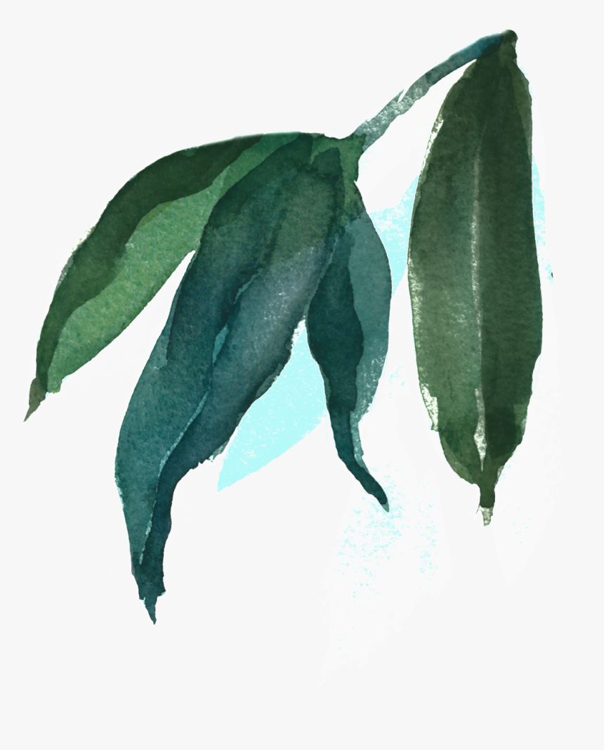 This Backgrounds Is Watercolor Painting Leaves Transparent - Transparent Background Blue Watercolor Leaf, HD Png Download