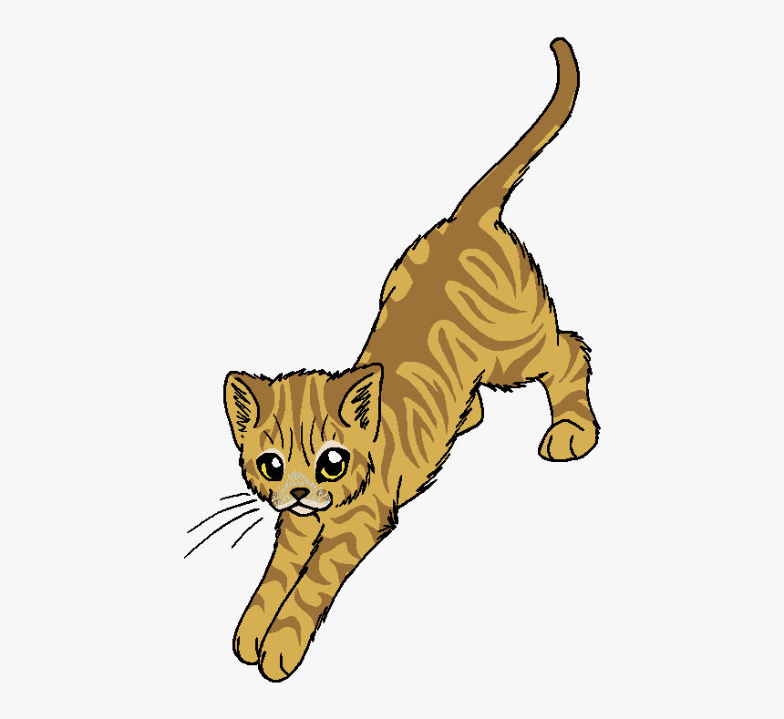 Lion S Roar - Warriors, HD Png Download