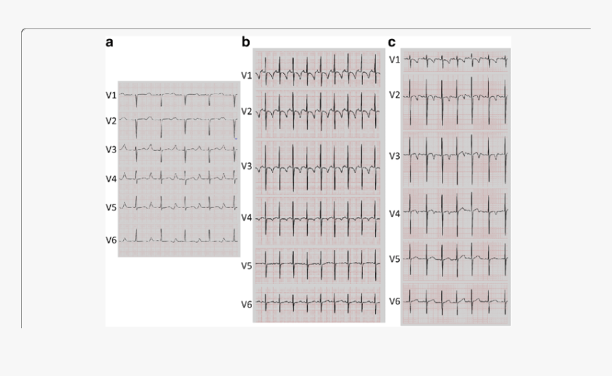 Number, HD Png Download