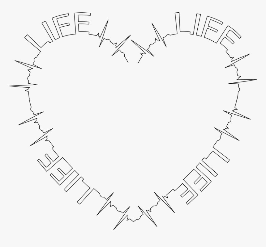 Electrocardiography, HD Png Download