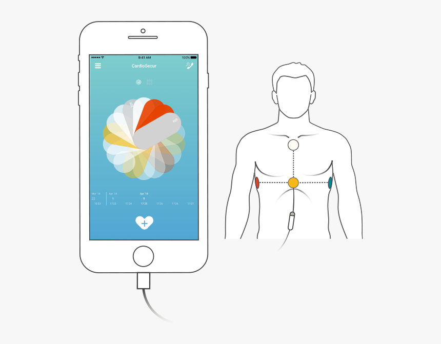 Starting The 10-second Ecg Recording In The Cardiosecur - Illustration, HD Png Download
