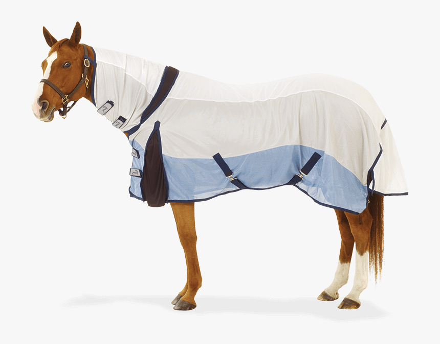 Pessoa Coolwave Fly Sheet - Pessoa Coolwave Combo Fly Sheet, HD Png Download