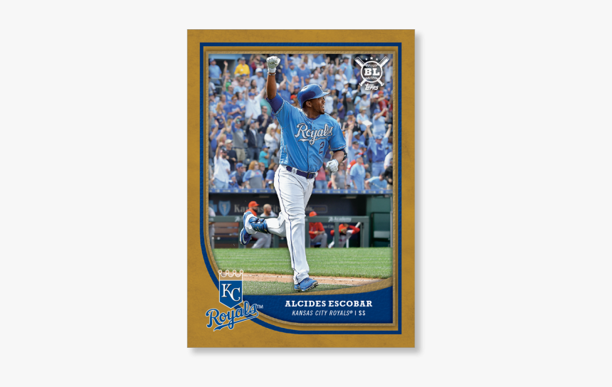 College Baseball, HD Png Download