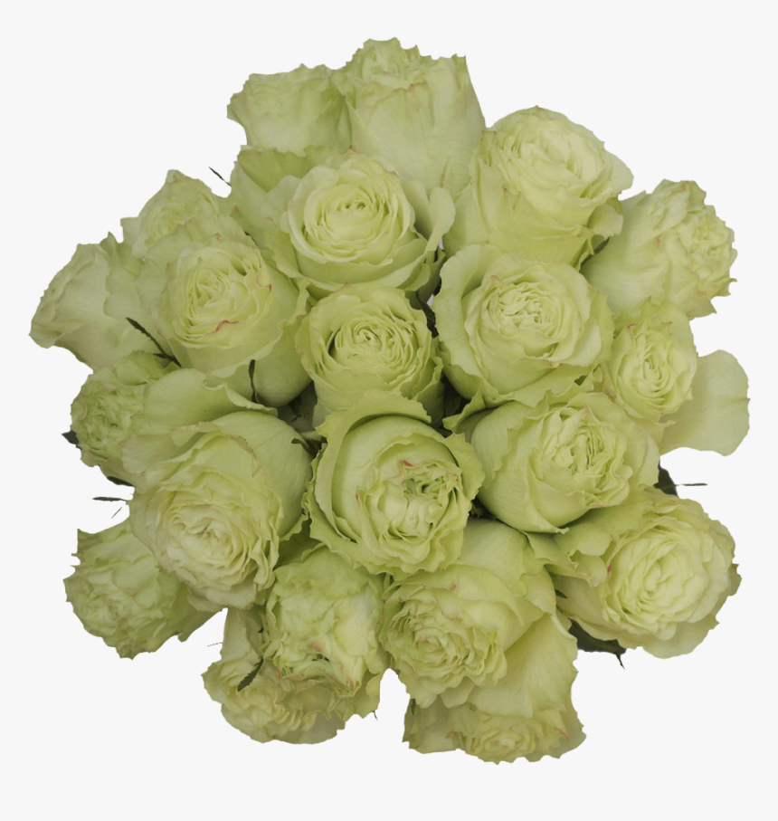 Get Lemon Green Limonada Roses Lowest Prices, HD Png Download