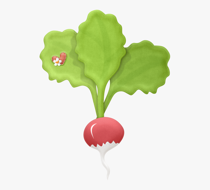 Thumb Image - Radish, HD Png Download