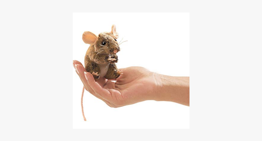 Kangaroo Rat, HD Png Download