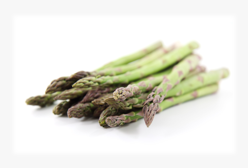 8 Absolutely Interesting Facts For Asparagus Lovers - Verdura En Forma De Palo, HD Png Download
