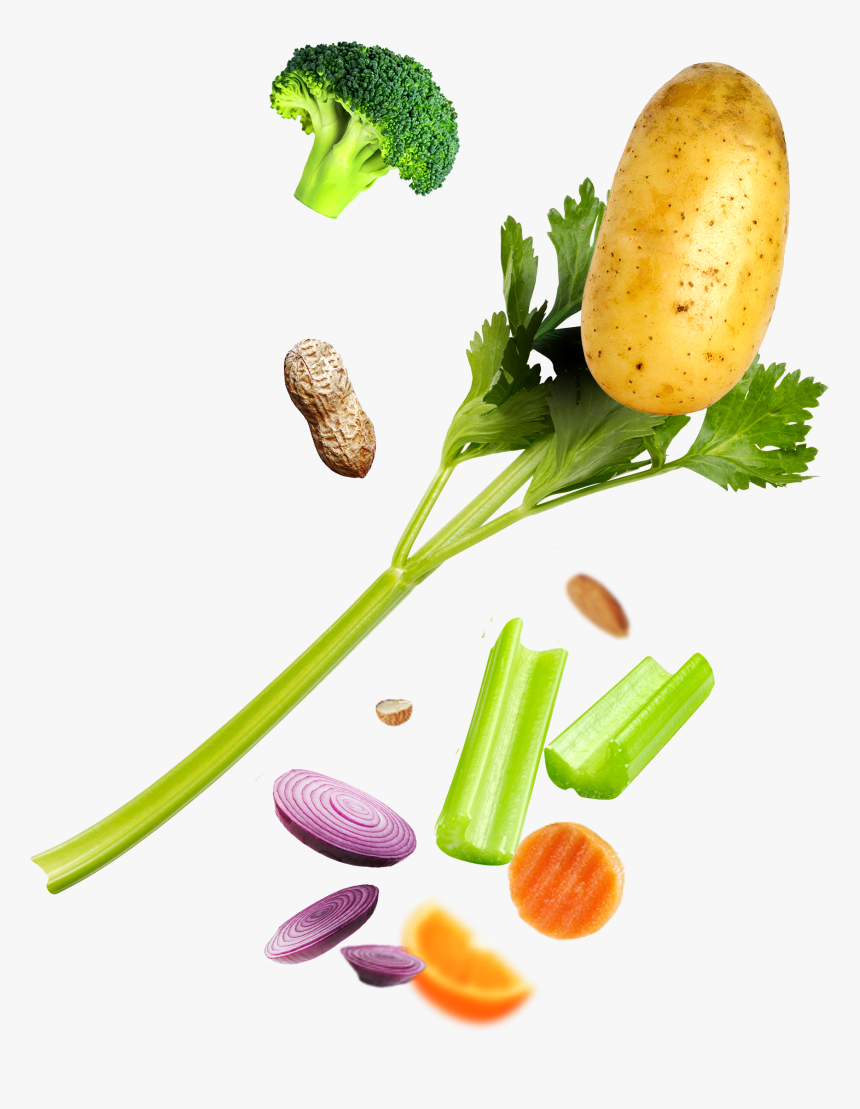 Broccoli, HD Png Download