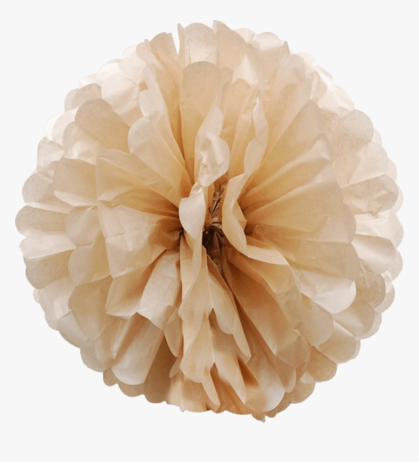 Latte Colored Paper Pom Poms-01 - Tissue Paper, HD Png Download