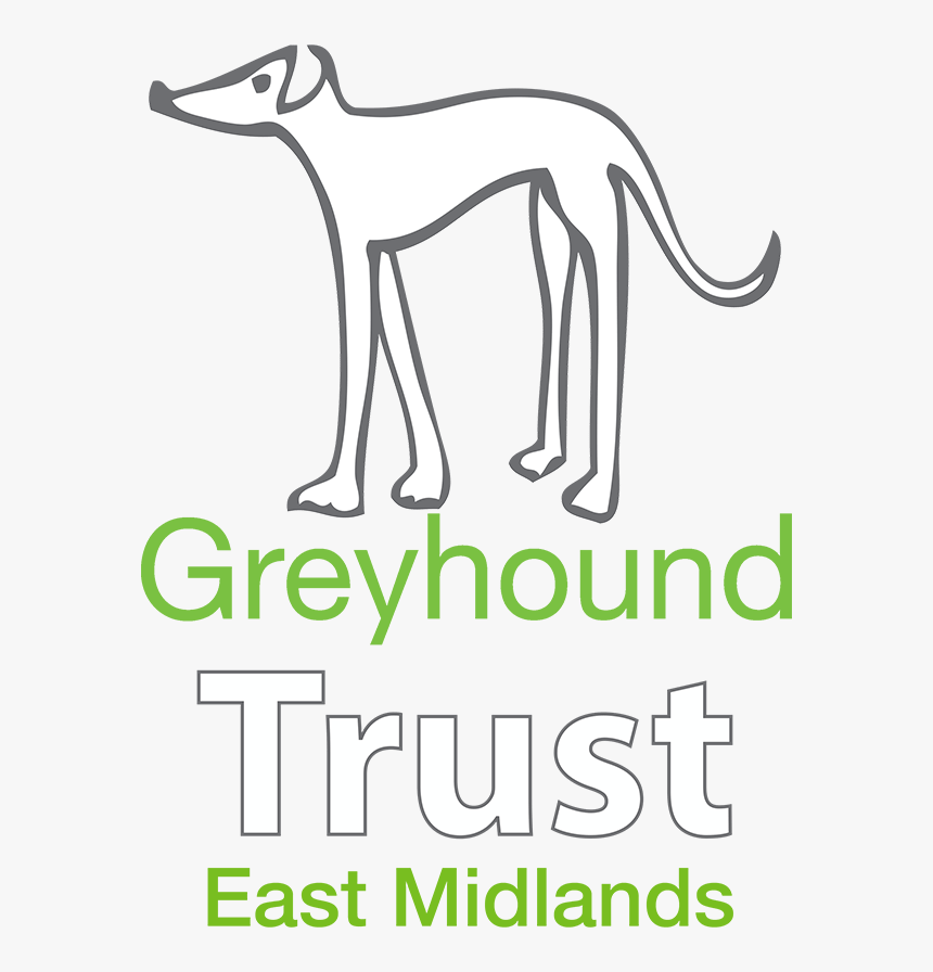 The Greyhound Trust East Midlands - Retired Greyhound Trust, HD Png Download