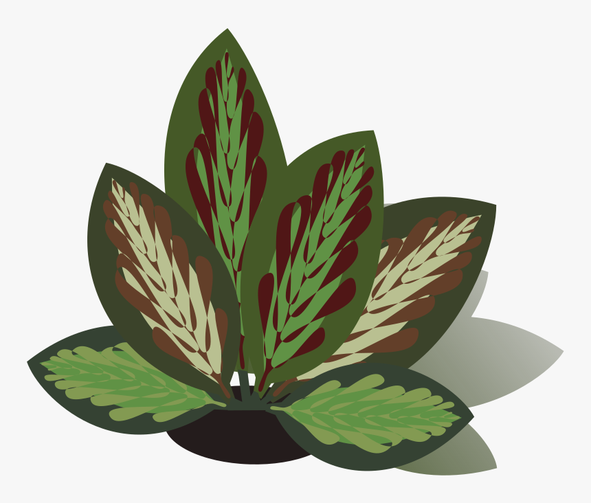 Leaf - Red Clover, HD Png Download