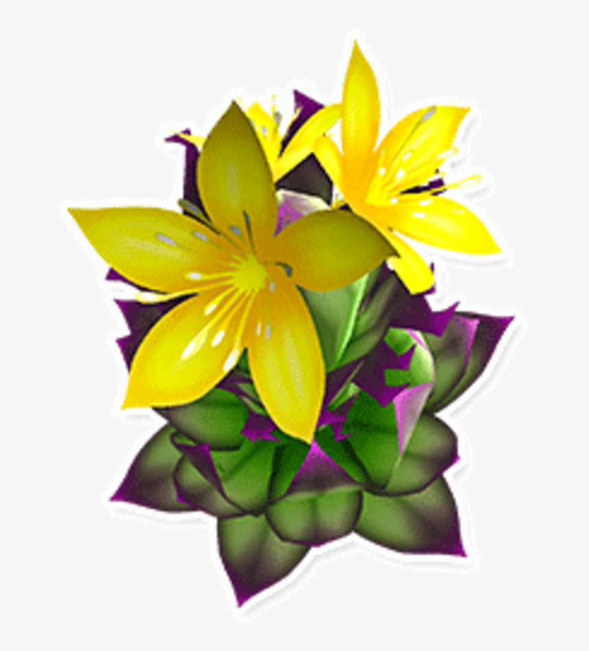 Wiki Help Icon - Lily Family, HD Png Download