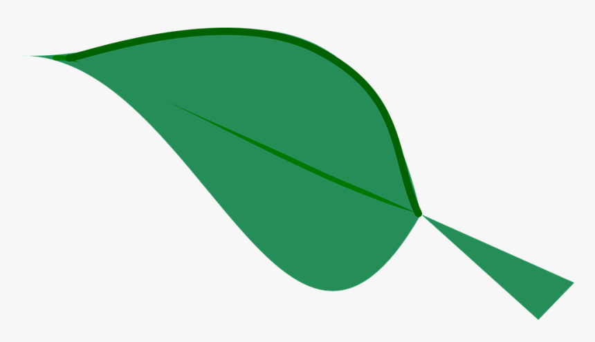 Green Leaf Clipart 12, Buy Clip Art - Dark Green Leaf Clipart, HD Png Download