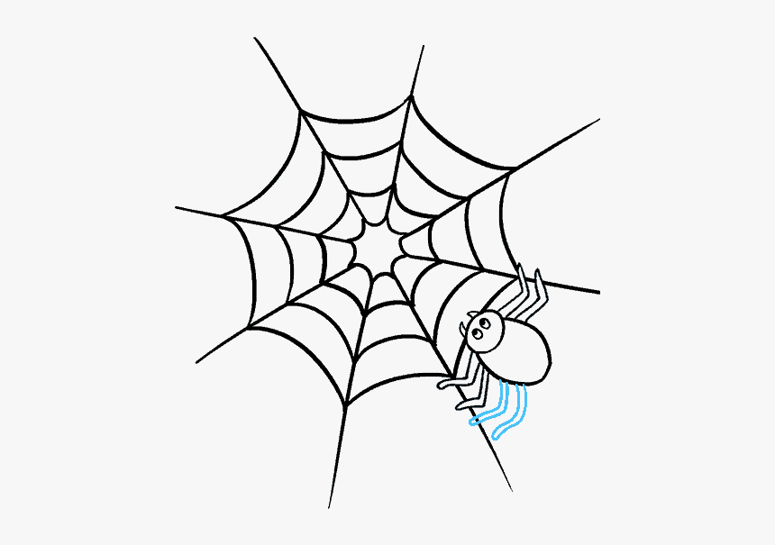 How To Draw Spider Web With Spider - Spiders Drawing, HD Png Download