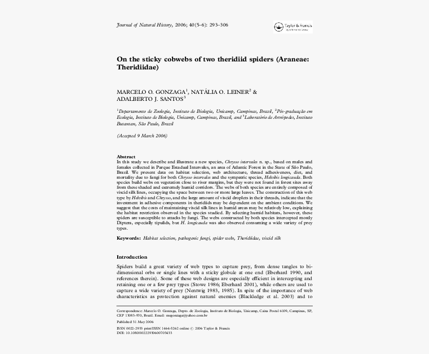 Document, HD Png Download