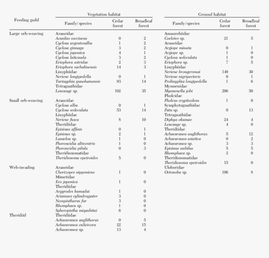Document, HD Png Download