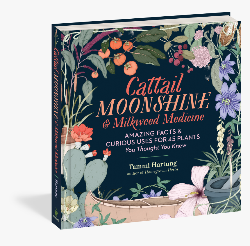 Cattail Moonshine & Milkweed Medicine: The Curious, HD Png Download