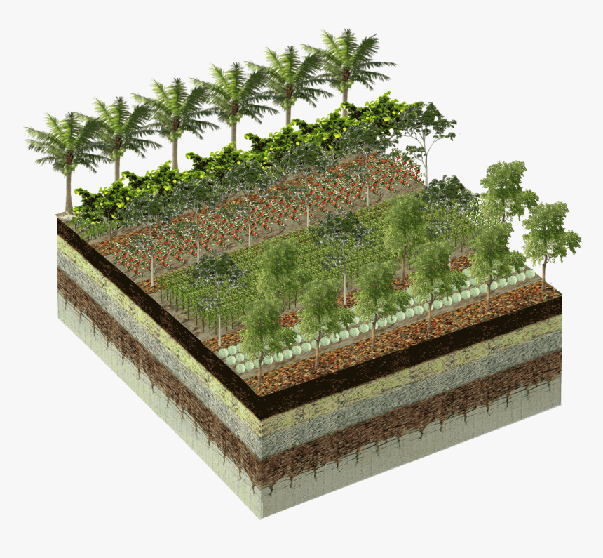 Pixlr-farm2 - Botanical Garden, HD Png Download
