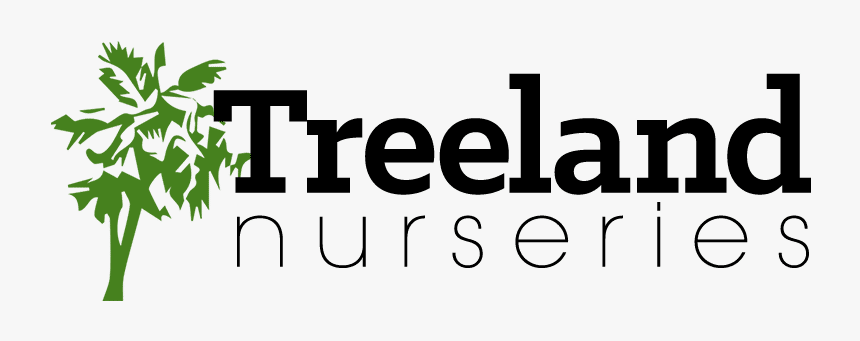 Our Business Is Growing 
			 Src Data - Calligraphy, HD Png Download