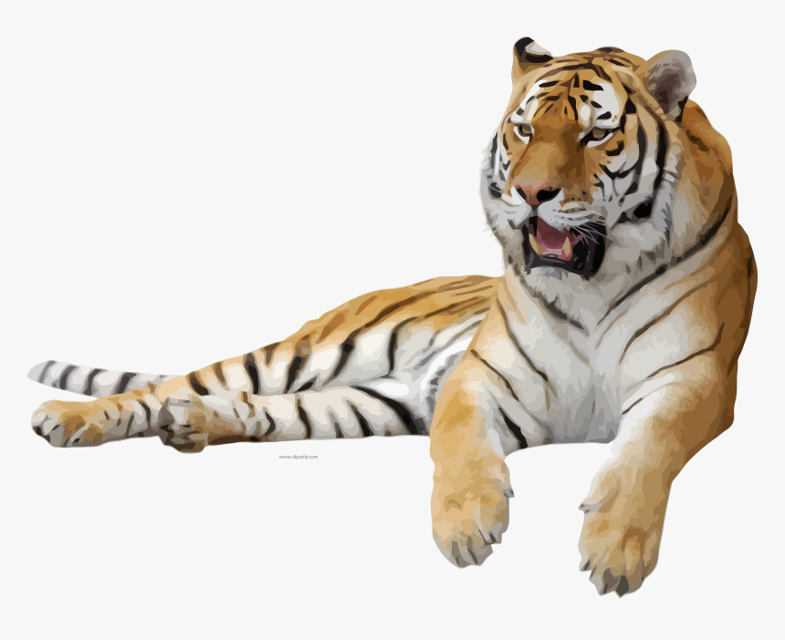 Tiger Transparent Background Png, Png Download