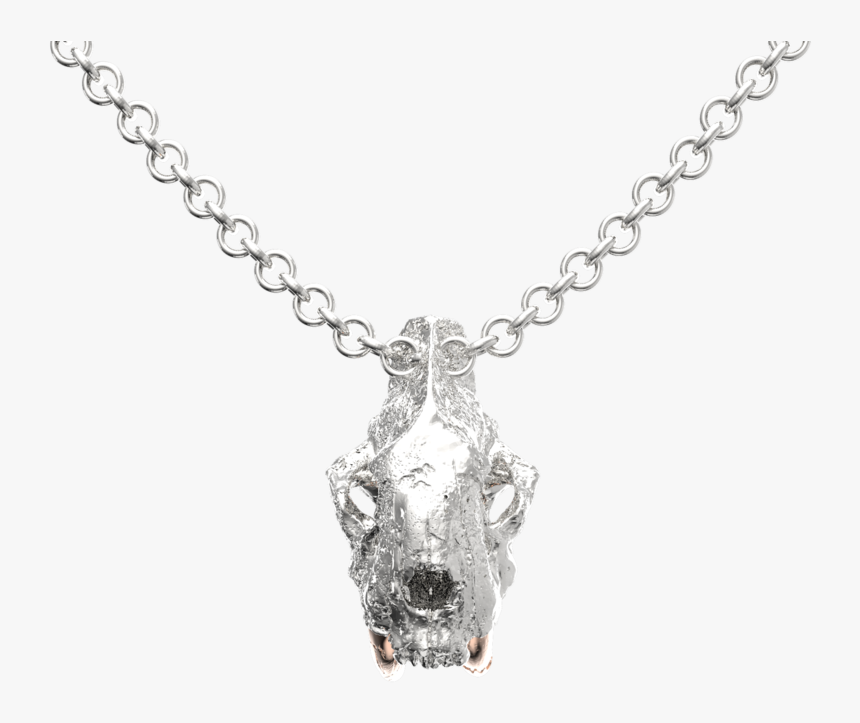Platinum Chain With Diamond Pendant, HD Png Download