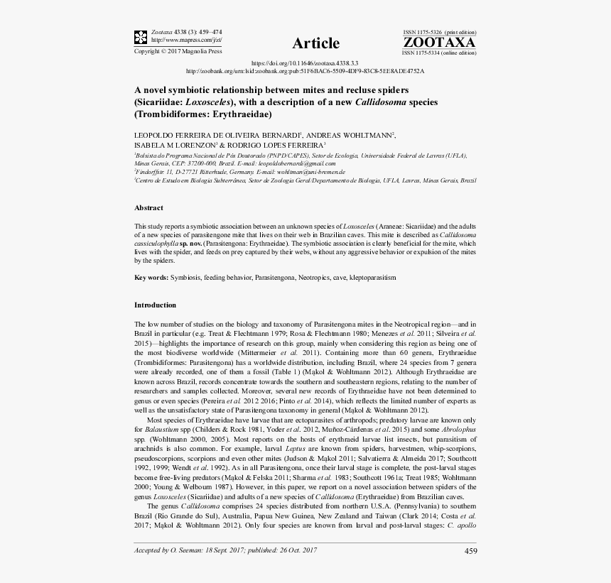 Document, HD Png Download