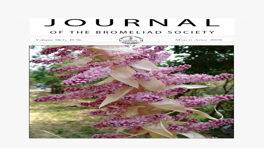 Takaful International, HD Png Download